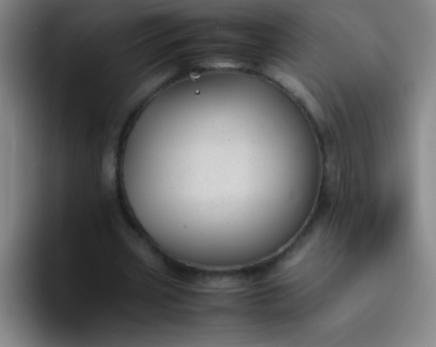 X0000091470533200709241307