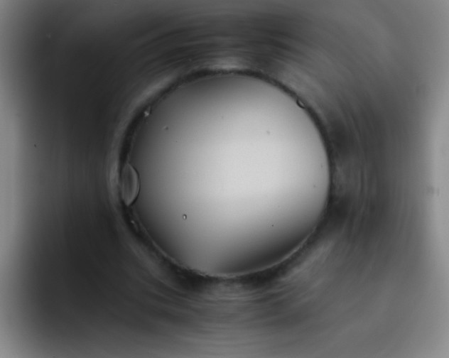 X0000091470535200709241307