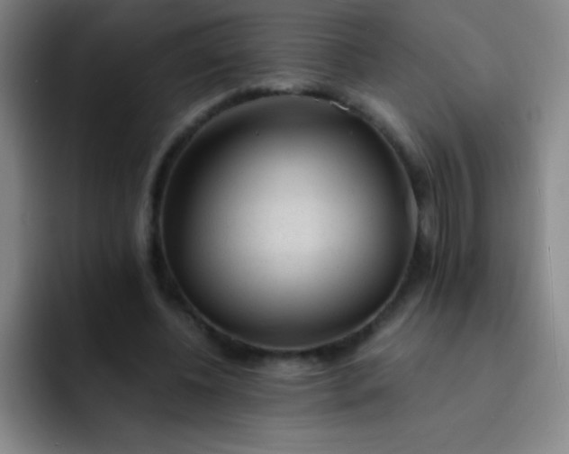 X0000091470540200709241307