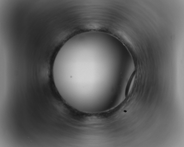 X0000091470544200709241307