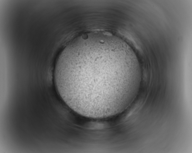 X0000091470545200709241307