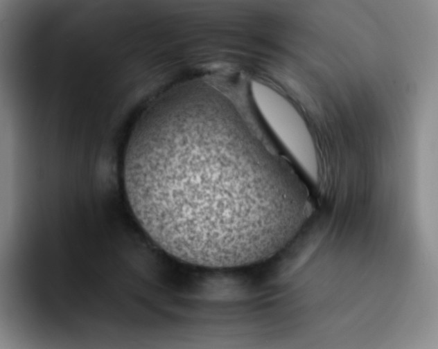 X0000091470547200709241307