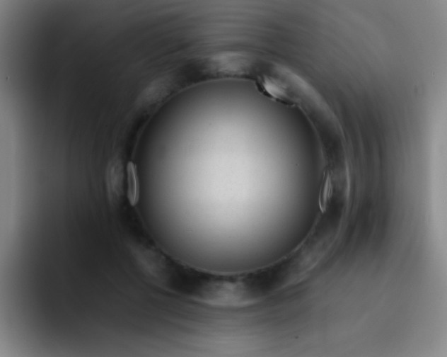 X0000091470552200709241307