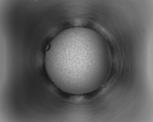 X0000091470554200709241307