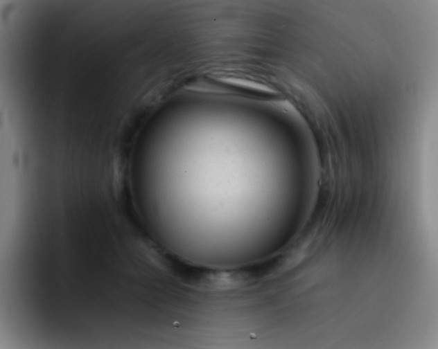 X0000091470558200709241307