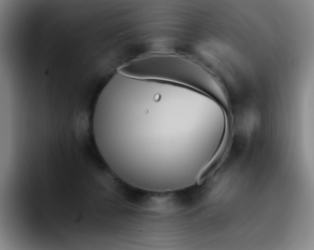 X0000091470560200709241307