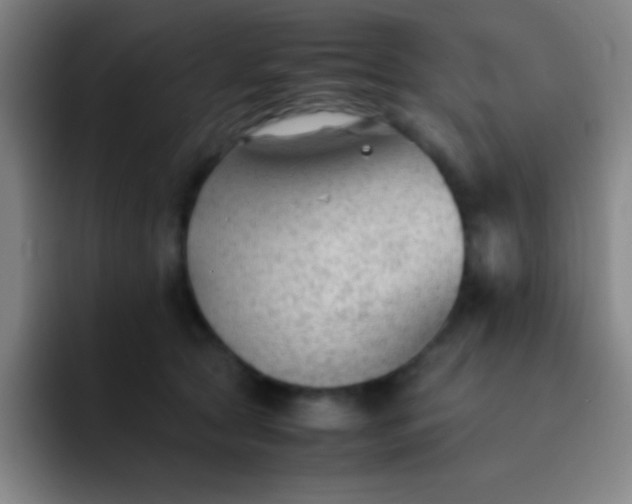 X0000091470561200709241307