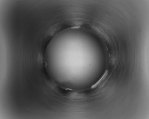 X0000091470568200709241307