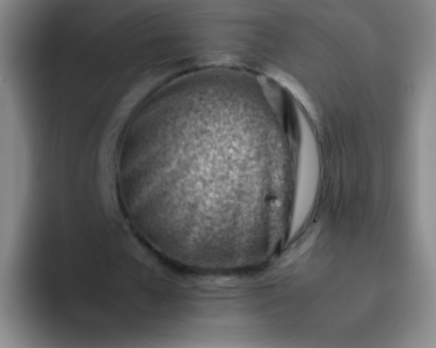 X0000091470577200709241307