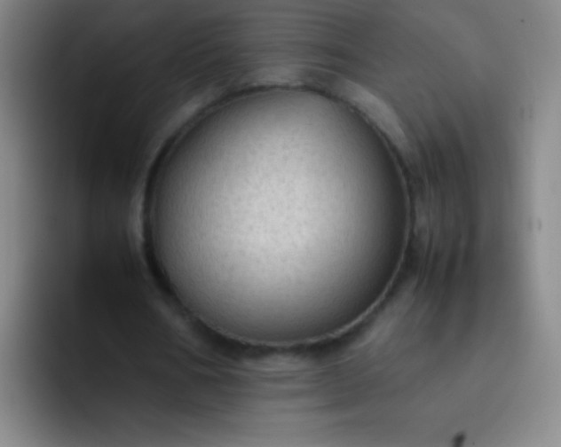 X0000091470578200709241307