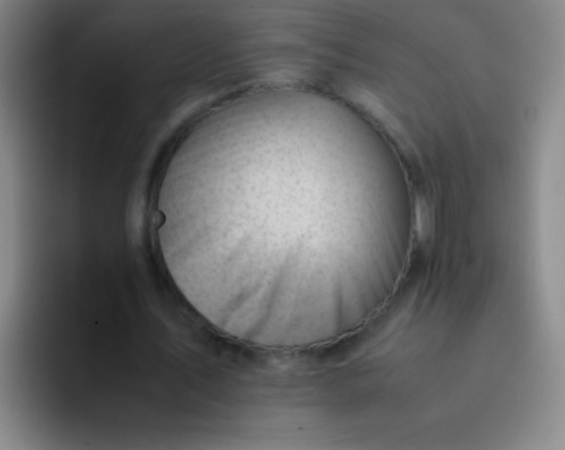 X0000091470579200709241307