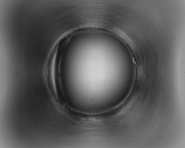 X0000091470580200709241307