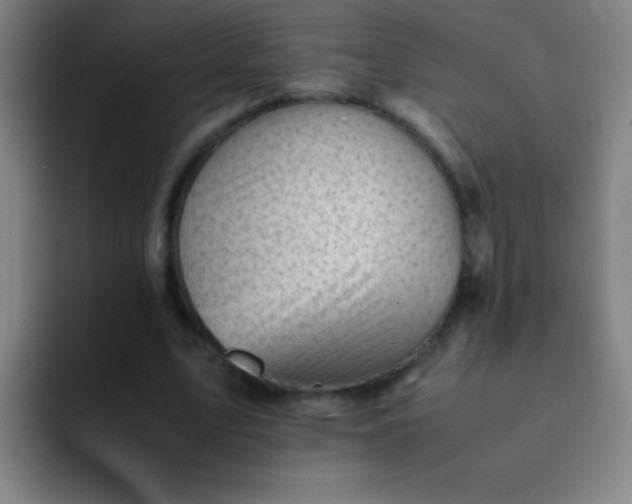 X0000091470583200709241307