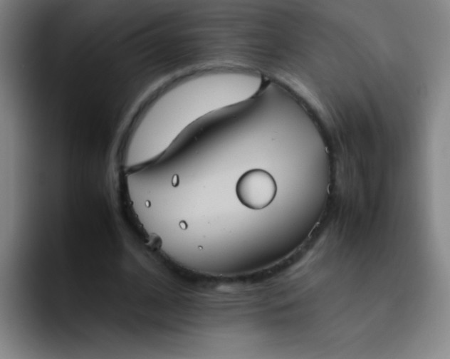 X0000091470584200709241307