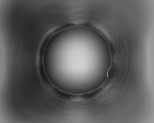 X0000091470587200709241307