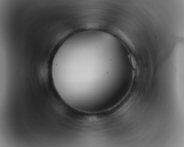 X0000091470588200709241307