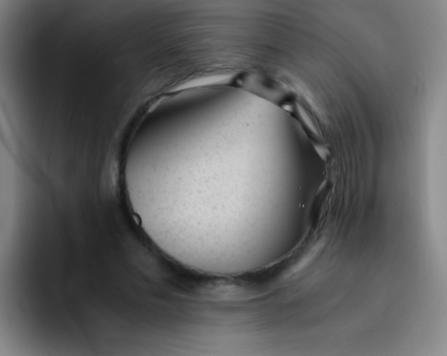 X0000091470589200709241307