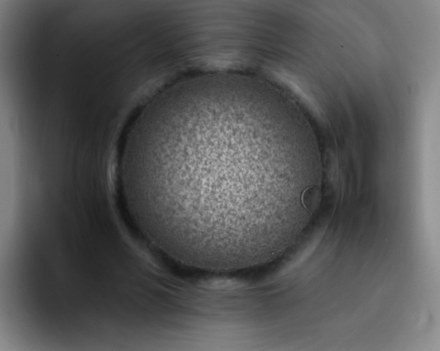 X0000091470590200709241307