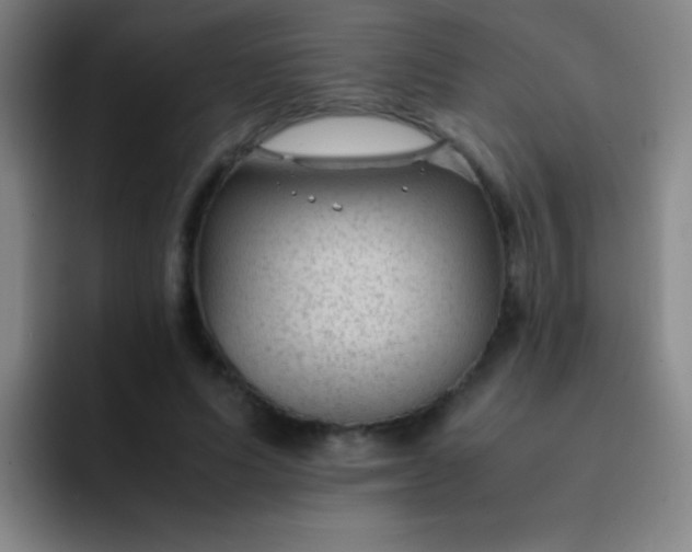 X0000091470591200709241307