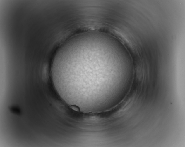 X0000091470594200709241307