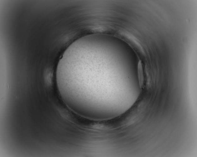 X0000091470596200709241307