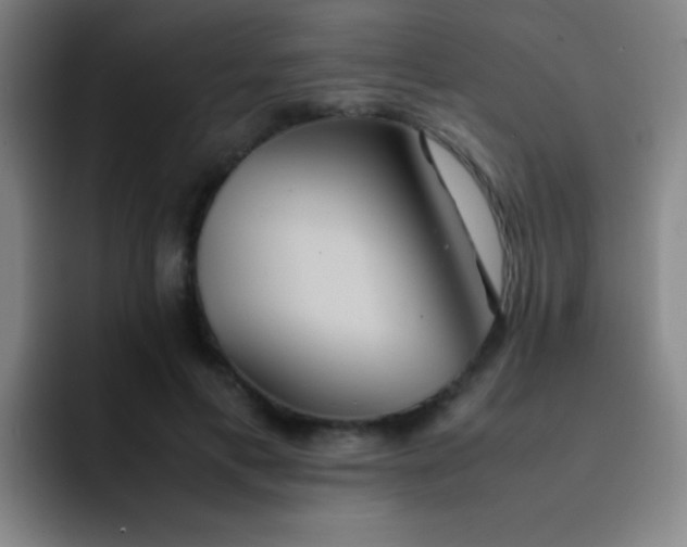 X0000091470597200709241307