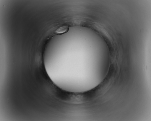 X0000091470599200709241307