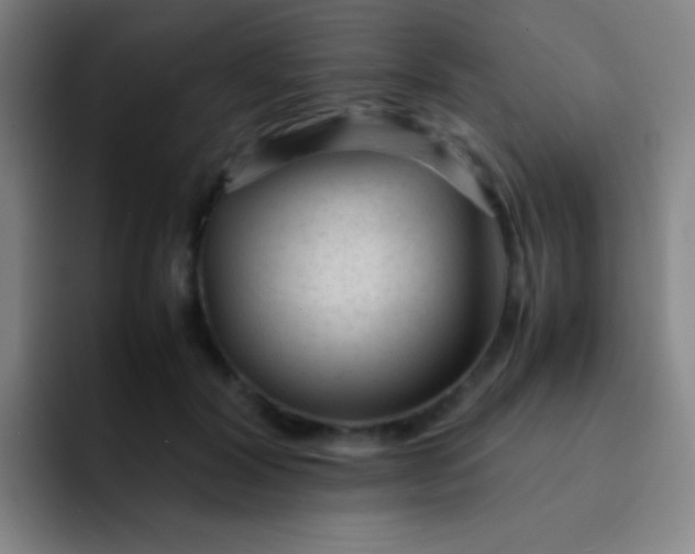 X0000091470604200709241307