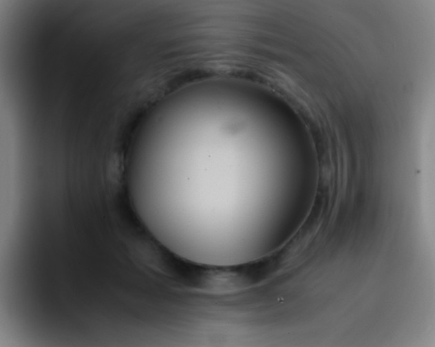 X0000091470605200709241307