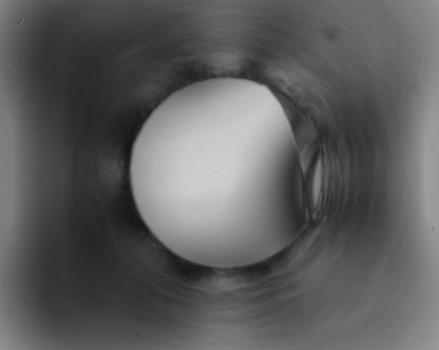 X0000091470608200709241307