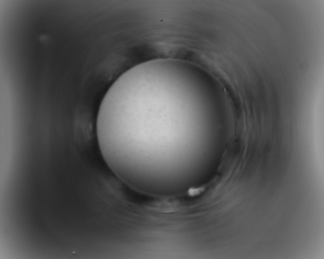 X0000091470615200709241307