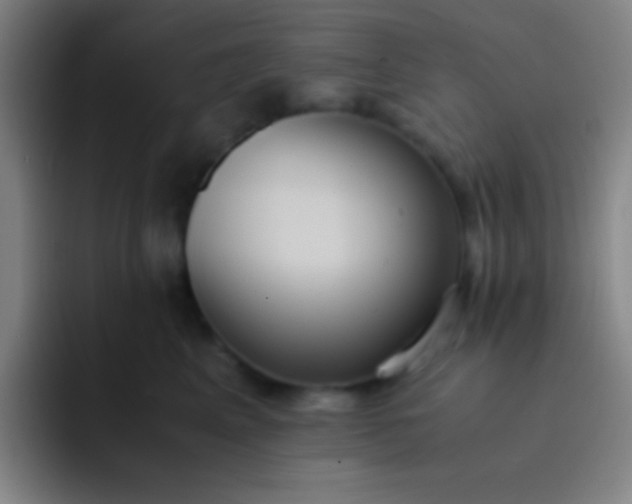 X0000091470617200709241307