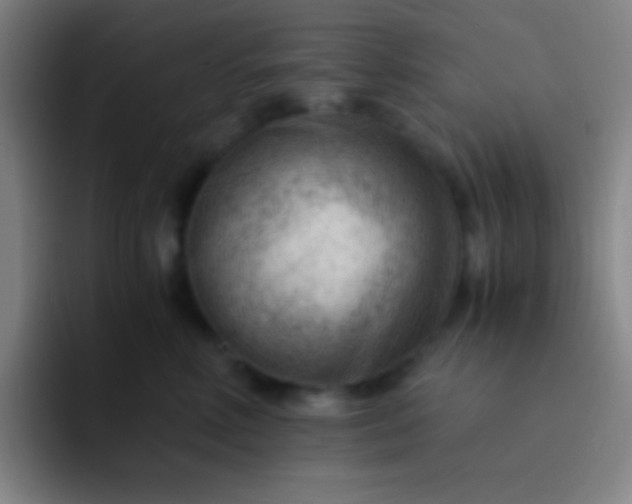 X0000091470618200709241307