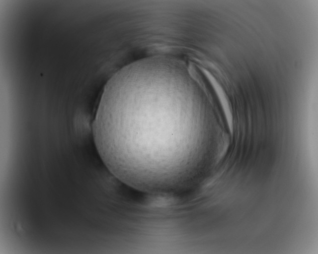 X0000091470621200709241306