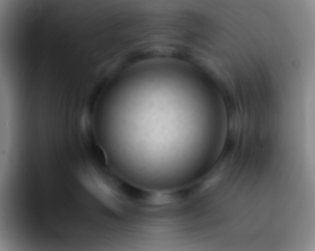 X0000091470623200709241306