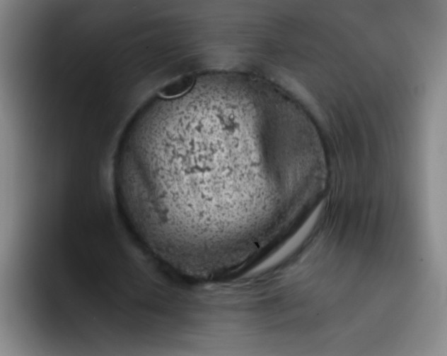 X0000091470626200709241306