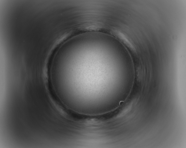 X0000091470634200709241306