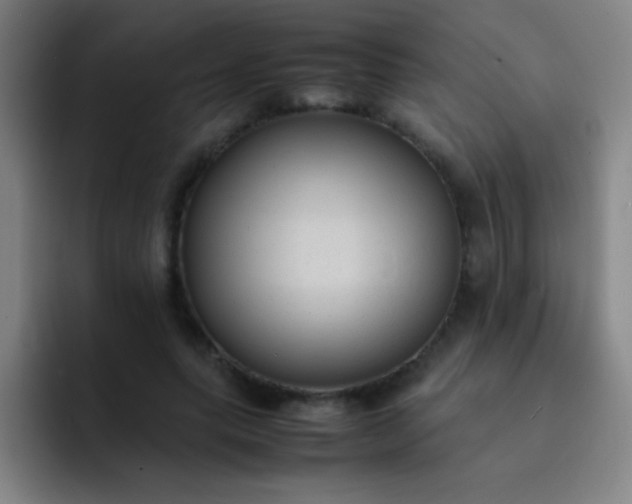 X0000091470639200709241306