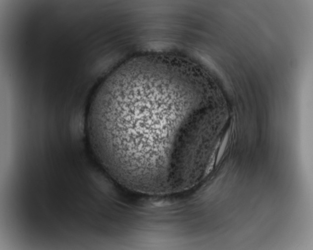 X0000091470640200709241306