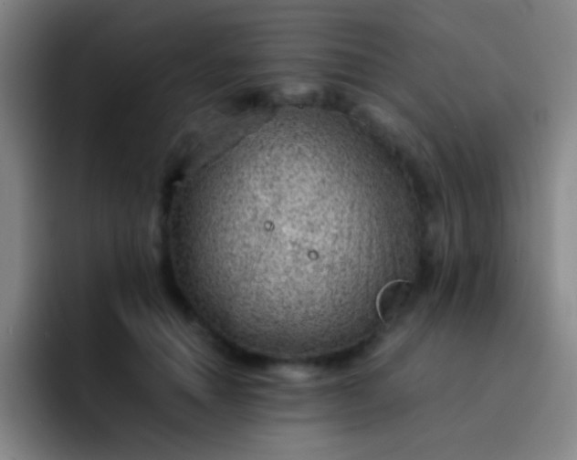 X0000091470654200709241306