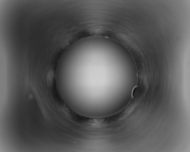 X0000091470660200709241306