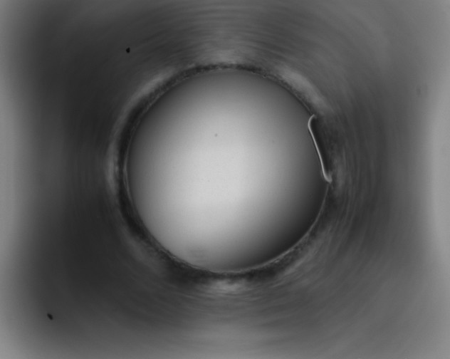 X0000091470680200709241306