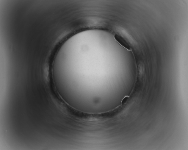 X0000091470684200709241306