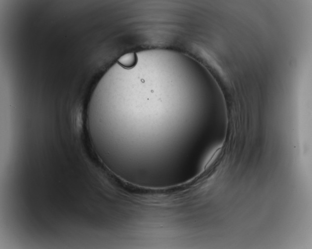 X0000091470685200709241306