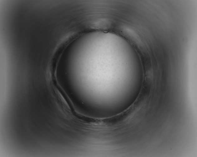 X0000091470688200709241306