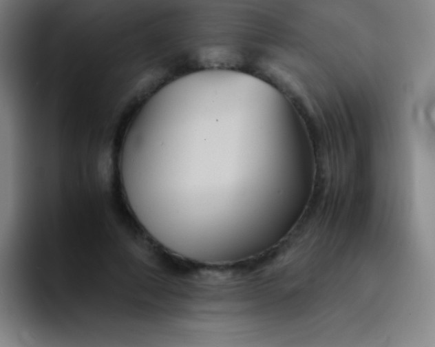 X0000091470690200709241306