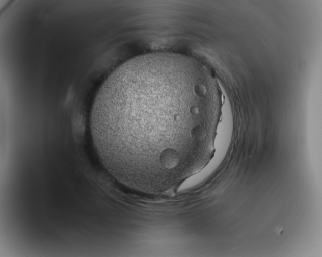 X0000091470691200709241306