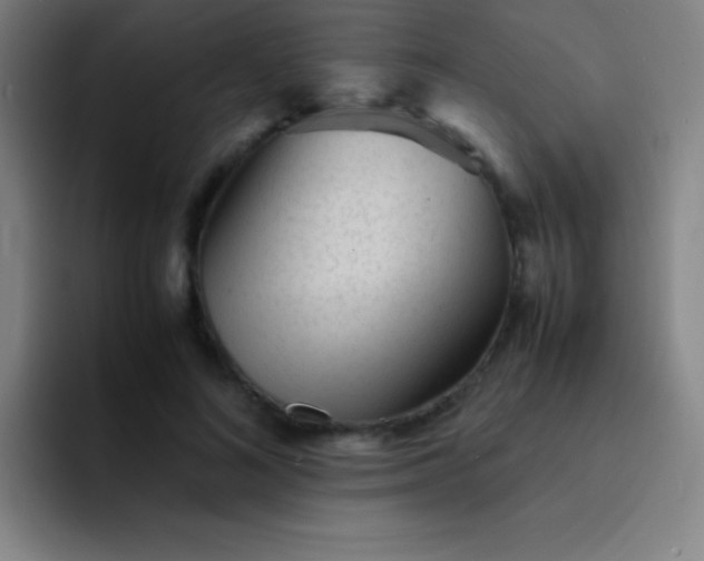 X0000091470692200709241306