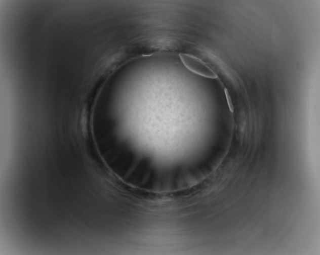 X0000091470696200709241306