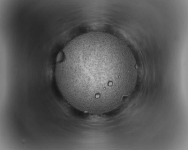 X0000091470703200709241306